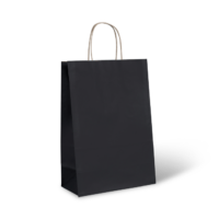 Paper Pak Petite Black Paper Twist Carry Bags #2 140x75x165mm