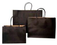 Budget Black Kraft Paper Twist Carry Bags - Small BTQ - 350w x 110g x 260h mm - 250/carton