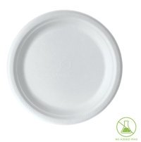 VANGUARD® 10 INCH SUGARCANE PLATE - 253mm - 500/carton - N434S0398