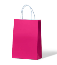 Paradise Pink "Junior" Carnival Carry Bag - 200x100x290mm - 250/carton