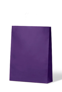 Purple "Junior" Carnival Carry Bag - 200x100x290mm - 250/carton